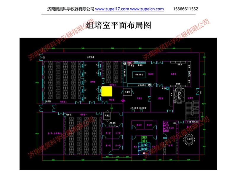 在线观看国产麻豆室