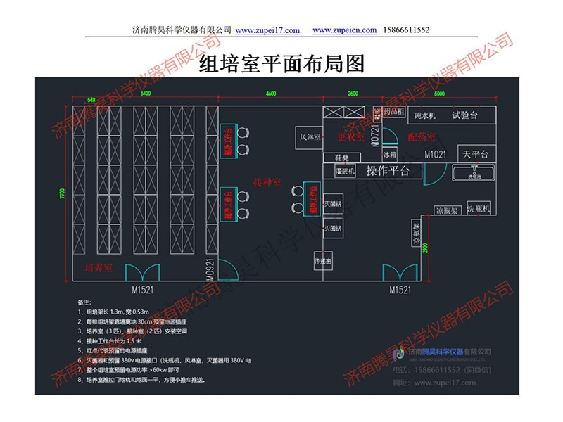 在线观看国产麻豆室