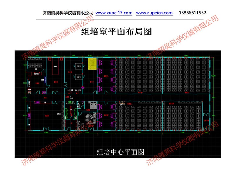 在线观看国产麻豆  在线观看国产麻豆室