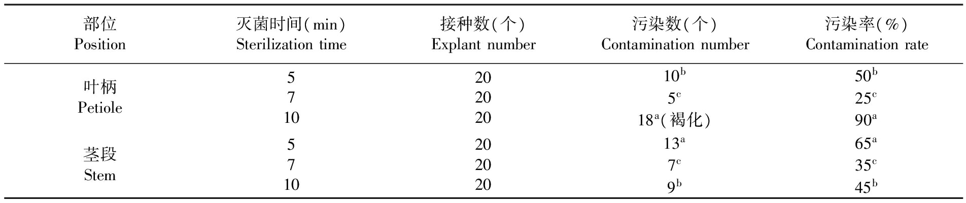 植物在线观看国产麻豆设备