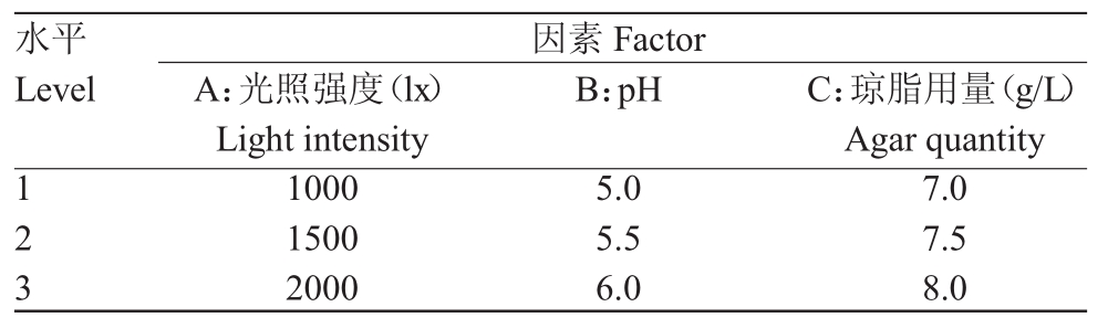 铁皮石斛在线观看国产麻豆苗生根条件优化研究