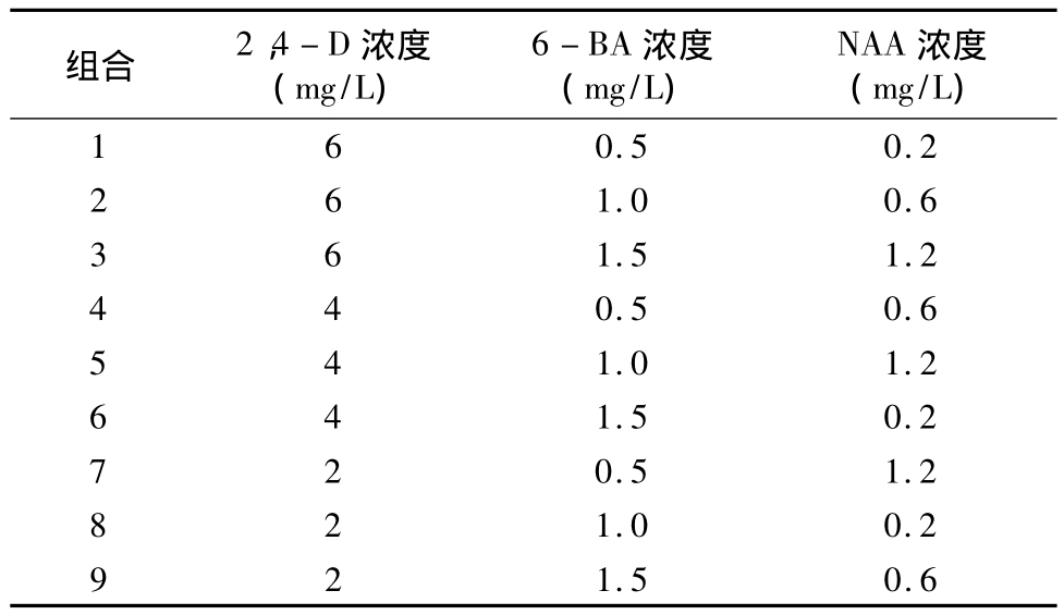 在线观看国产麻豆实验室